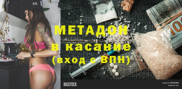 хмурый Аркадак