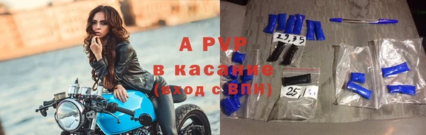 хмурый Аркадак