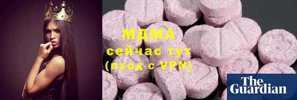 хмурый Аркадак