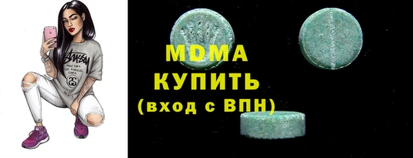 хмурый Аркадак