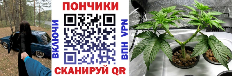Конопля конопля  купить наркоту  Таруса 